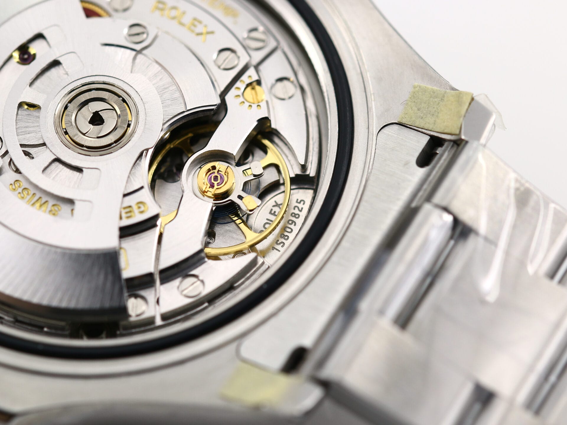 ZD-IMG_9334 ZD-IMG_9334